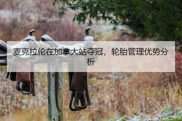 mai-ke-la-lun-zai-jia-na-da-zhan-duo-guan-lun-tai-guan-li-you-shi-fen-xi-2-172.jpg
